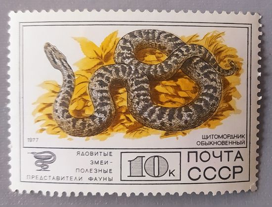 Щитомордник обыкновенный, 1977, СССР