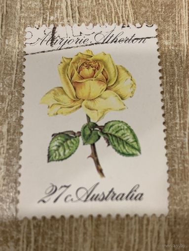 Австралия. Цветы. Роза. Марка из серии