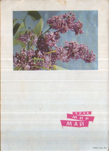 Подписанная открытка 1965г. "1 Мая. Ветки сирени" фото Г. Костенко, худ. И. Дергилев