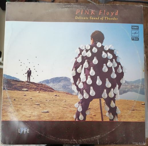 Pink Floyd 2LP	"Delicate sound of thunder"