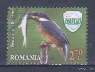 [1243] Румыния 2016. Фауна.Птицы.Зимородок. Гашеная марка.