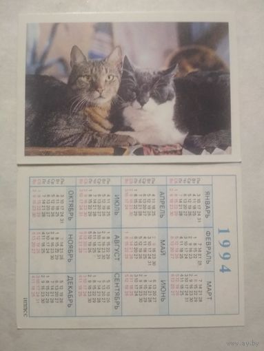Карманный календарик. Котик.1994 год
