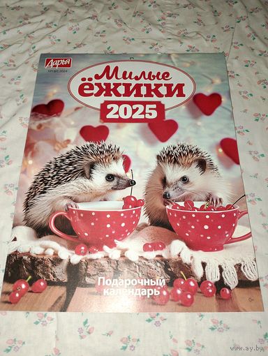 Календарь на 2025. Милые ёжики. Еж, ежи, красивые картинки
