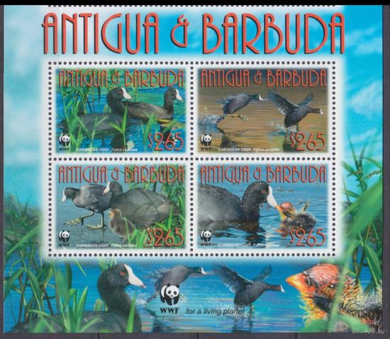 2009 Антигуа и Барбуда 4702-4705VB+Tab WWF / Утки 8,80 евро