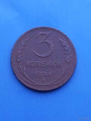 3 копейки 1924 год  (171)
