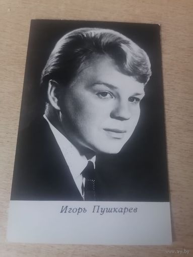Актер. Игорь Пушкарев