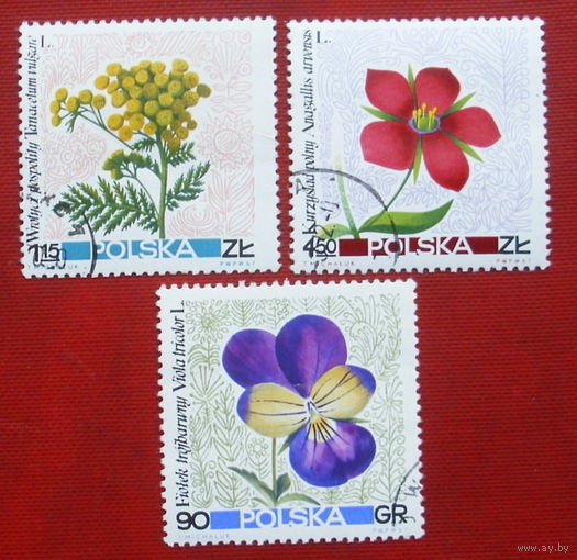 Польша. Цветы. ( 3 марки ) 1967 года. 10-2.