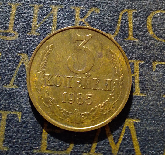 3 копейки 1985 СССР #20