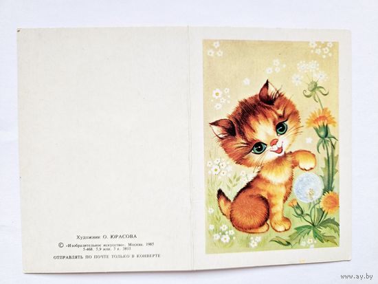 Юрасова  1985 мини кот
