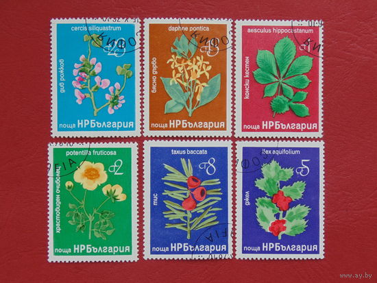 Болгария. Флора.