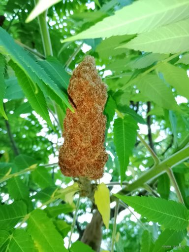 Куртка на весну р.46