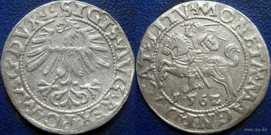 ВКЛ. Полугрош 1562 года.  Погоня - хвост вверх.