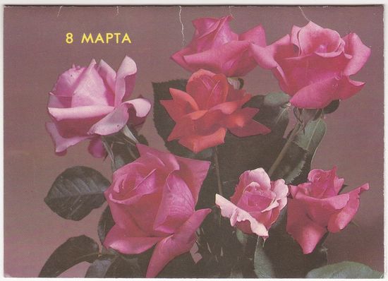 Открытка 1990 (351)