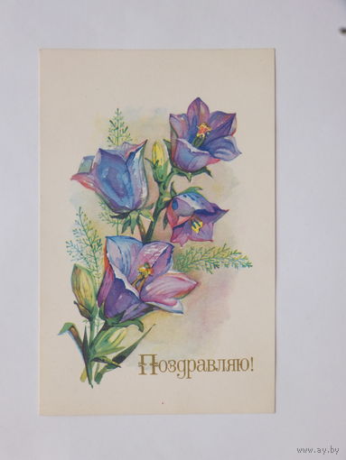 Александров поздравляю 1977 9х14  см