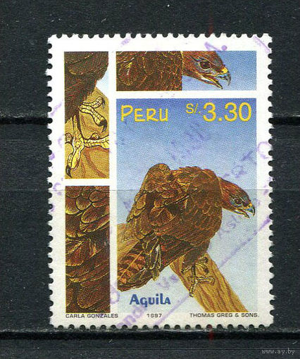 Перу - 1997 - Птицы 3,30S - [Mi.1615] - 1 марка. Гашеная.  (Лот 51HC)-T4P52