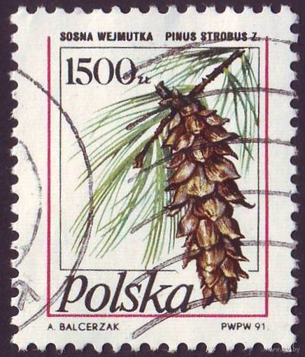 Сосны Польша 1991 год 1 марка