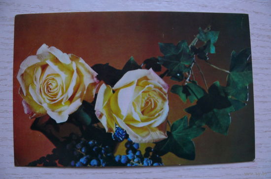 Гусейн-заде Г., Розы, 1975, чистая.