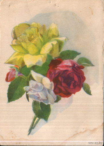 Подписанная открытка 1959г. "Розы" худ. Д. Астапова