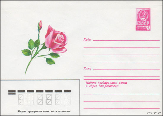 Художественный маркированный конверт СССР N 13372 (05.03.1979) Рисунок красной розы