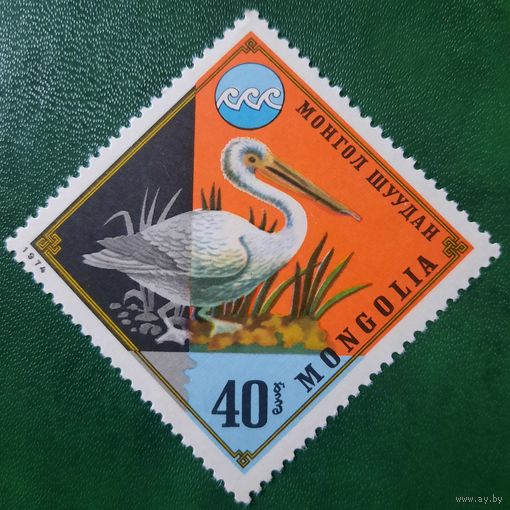 Монголия 1974. Фауна. Птицы. Пеликан