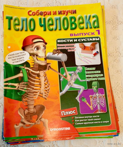 Коллекция журналов "Тело человека: собери и изучи". Выпуски 1-42