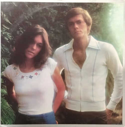 Carpenters /Horizon/1975, AM, LP, EX, Japan