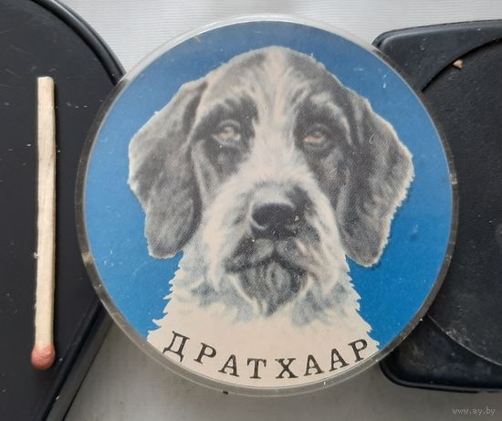 Дратхаар. Бв-55