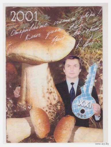 Календарик 2001