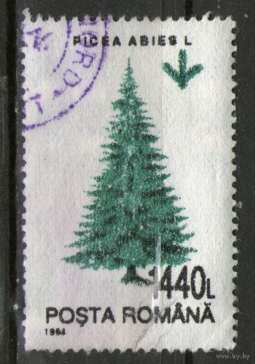 Румыния. Михель- 4990. Гашеная.
