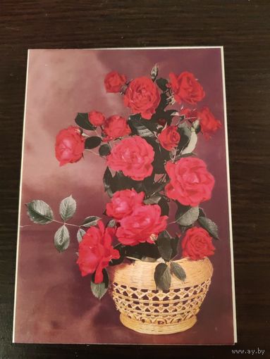 Открытка двойная,чистая