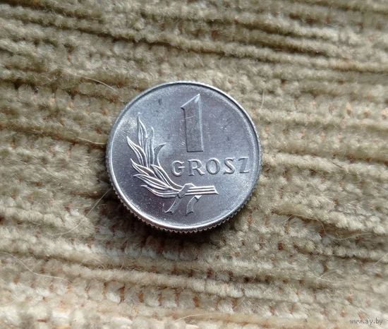 Werty71 Польша 1 грош 1949 Блеск