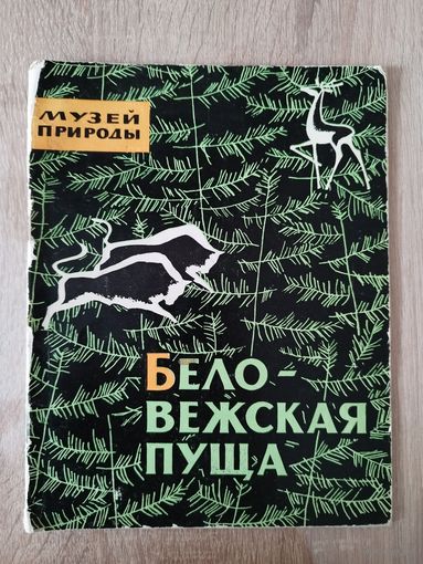 Беловежская пуща. Музей природы. 1965 год