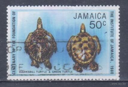 [2441] Ямайка 1980. Фауна.Черепахи. Гашеная марка.