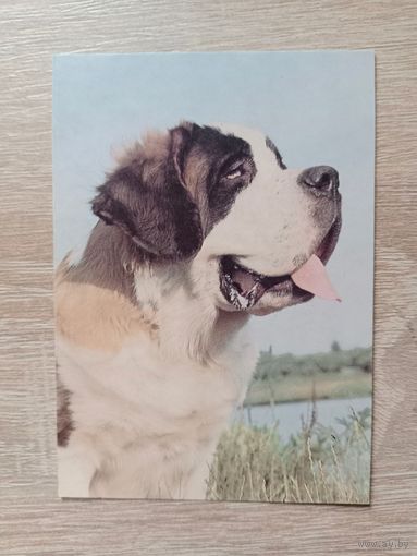 Календарик 1993