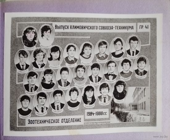 Фото в коллекцию