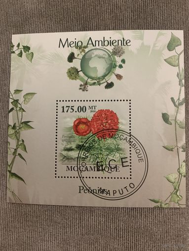 Мозамбик 2010. Цветы. Блок