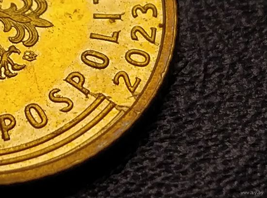1 грош 2023 года. Брак. Раскол штемпеля.