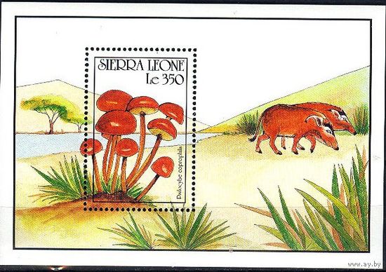 1990 Сьерра-Леоне. Грибы   MNH