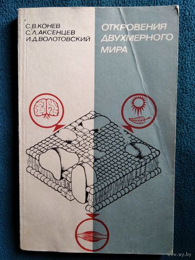 Откровения двухмерного мира