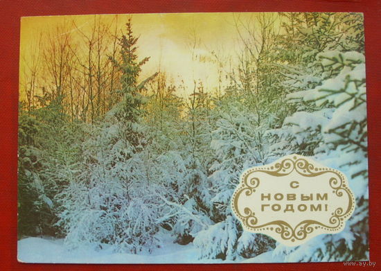 С новым годом! Чистая. 1975 года. Фото Костенко. 645.