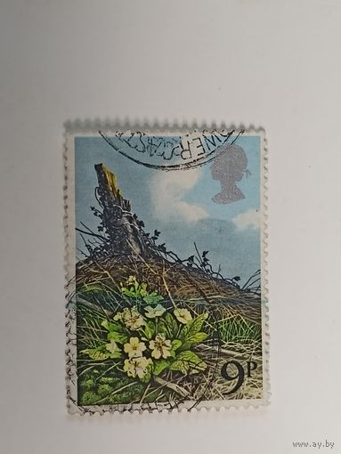 Великобритания 1979. Британские полевые цветы