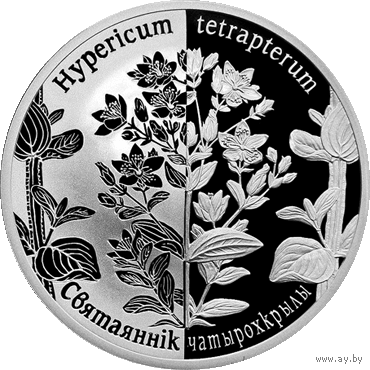 Зверобой, 20 рублей 2013, серебро