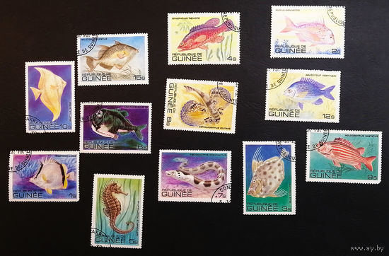 Гвинея 1980 г. Рыбы. Морская Фауна, полная серия из 12 марок #0228-Ф1P44