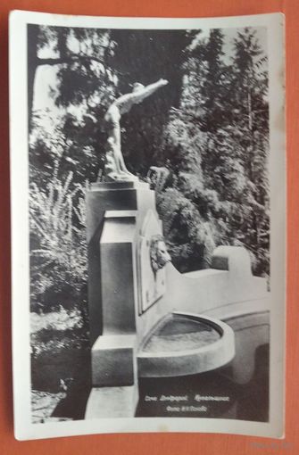 Фотооткрытка. Сочи. Дендрарий. Купальщица. 1958 г. Чистая