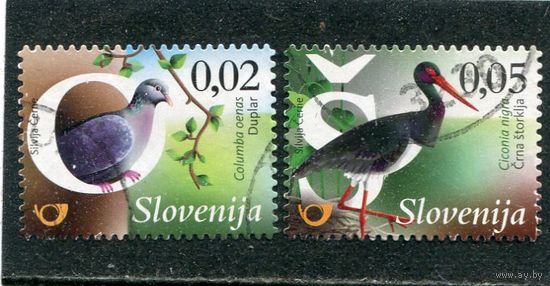 Словения. Фауна. Птицы