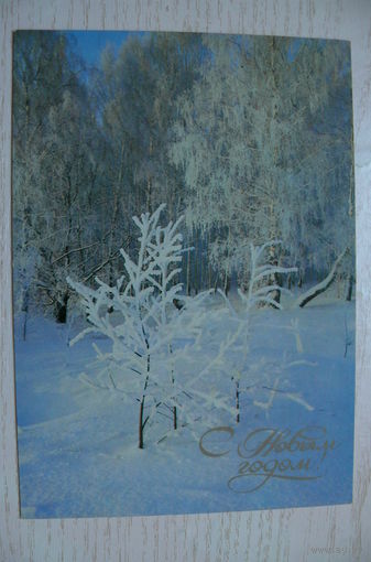 Дейкин Н., Рябов Е., С Новым годом! 1985, чистая.