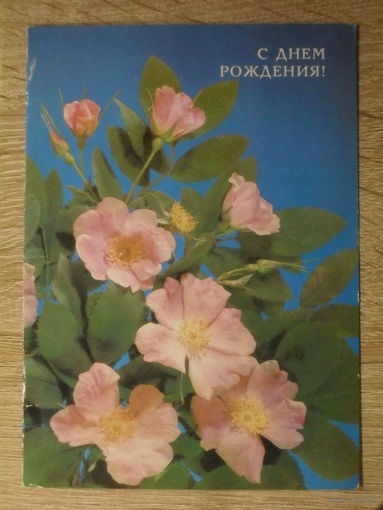 ДВОЙНАЯ ПОДПИСАННАЯ ОТКРЫТКА СССР. "С ДНЕМ РОЖДЕНИЯ!" ХУД. И. ДЕРГИЛЕВВ. 1988 ГОД.
