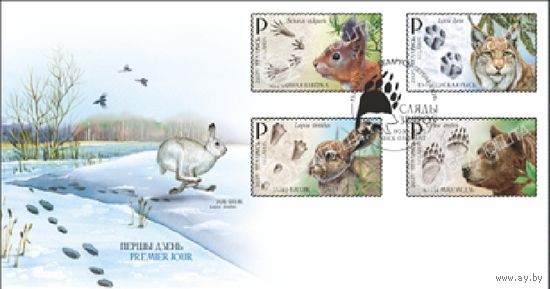 Беларусь 2025 КПД Фауна Следы зверей