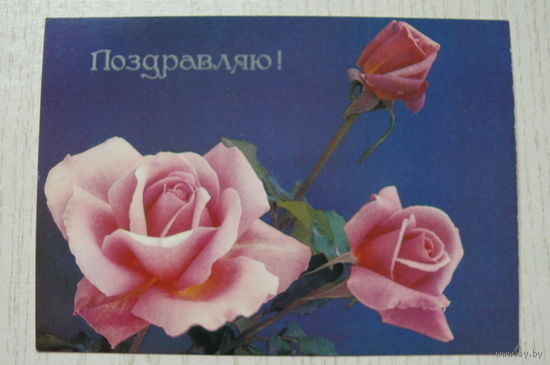 Френкель О., Поздравляю! 1986, 1987, чистая.