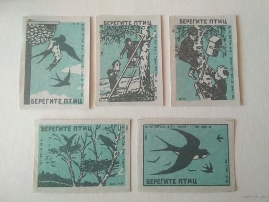 Спичечные этикетки ф.Туринск. Берегите птиц. 1964 год